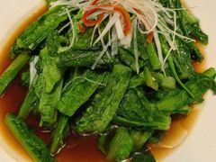 油淋油麦菜-大张烙馍村·美食地标(泉山店)