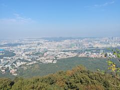 -紫金山山顶公园