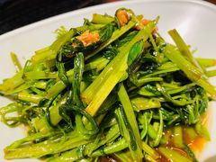 -Asianplus海蓝鸡饭