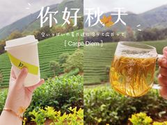 -白茶原·一片叶子