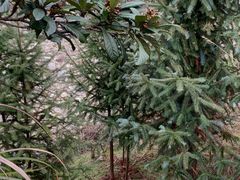 -闪电修企业手机电脑回收(西湖风景名胜区店)