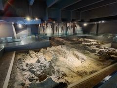 -侵华日军南京大屠杀遇难同胞纪念馆-停车场