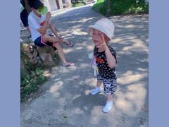 -乌村