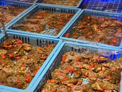 -青岛蓝海御华大饭店（金沙滩店）·蓝钻国际美食自助百汇