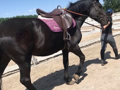 -月河湾马术俱乐部(朝阳店)