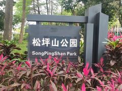 -松坪山公园