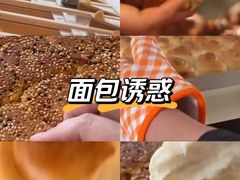 -北坞公园