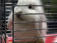 -龟与熊猫宠物公园(南坪店)