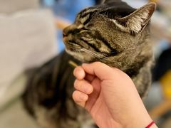 -唐咖精品咖啡(大理古城手冲店)