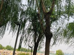 -北龙湖湿地公园