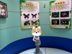 -上海昆虫博物馆