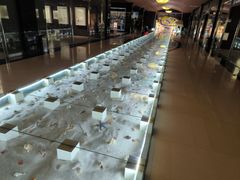 -青岛贝壳博物馆