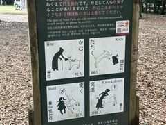 -奈良公园
