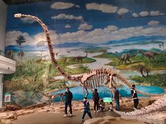 -自贡恐龙博物馆