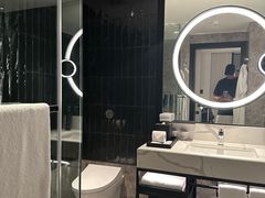 -新加坡乌节希尔顿酒店 (SG Clean)