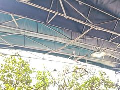 -桃源山庄·水蜜桃采摘·柴火鸡·烧烤团建(龙泉山店)