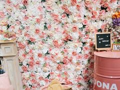 -百好乐宠物友好餐厅(朝外大街店)