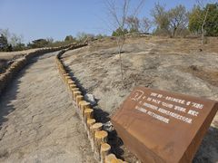 -白水寺森林公园