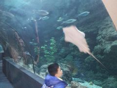 -南昌海洋公园