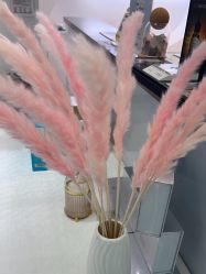 -UTIME媛腾·胶原科技中心