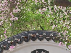 -深圳国际园林花卉博览园