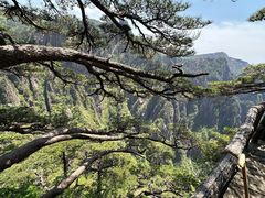 -黄山风景区