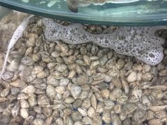 -晓伟海鲜家常菜