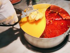 -澳美徕·港式花胶鸡火锅(高新万达店)