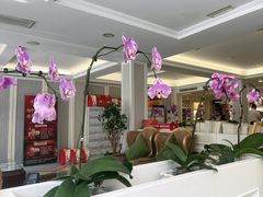 -天天渔港(杏林街店)