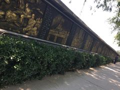 -东方巨龟苑景区