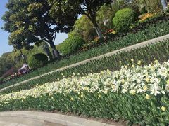 -上海鲜花港