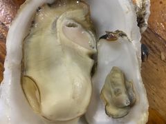 清蒸生蚝-江村四哥新鲜牛肉店(江高总店)