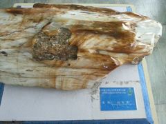 android_upload_pic-云台山风景名胜区