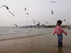 -老虎石海上公园