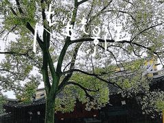 -西园戒幢律寺