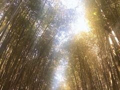 -竹泉村旅游度假区