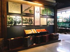 -二沙岛-广东华侨博物馆