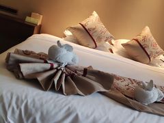 -亚马逊丛林水乐园