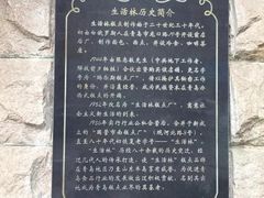 -生活林(河北路店)