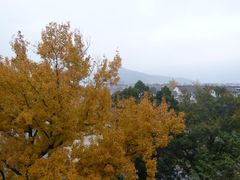 景点-蒋氏故居