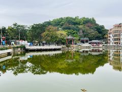-长洲岛