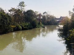 -三垟湿地
