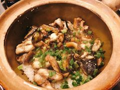 黄鳝白鳝鲍鱼煲仔饭-红星光发煲仔饭(文海店)
