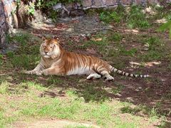 -西霞口神雕山野生动物世界