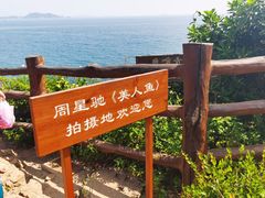 -杨梅坑