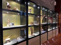 -香市公园-中国沉香文化博物馆