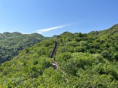 -大岭沟猕猴桃谷风景区