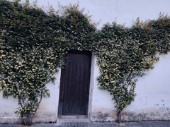 -青果巷历史文化街区