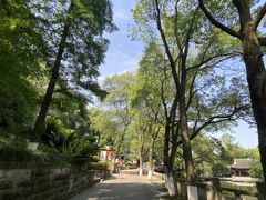 -忠山公园
