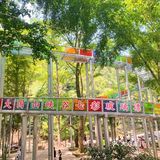 长沙必玩｜周末去哪浪？🌊🌊🌊